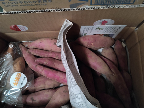 欲しかった❣️チビッコさつまいも🍠(シルクスイート紅はるか3kg)食べくらべ