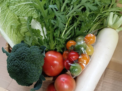 松宮ファームの秋冬京野菜　５点セット！！