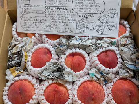 桃　あかつき　良品　約3kg (8個〜14個)数量限定