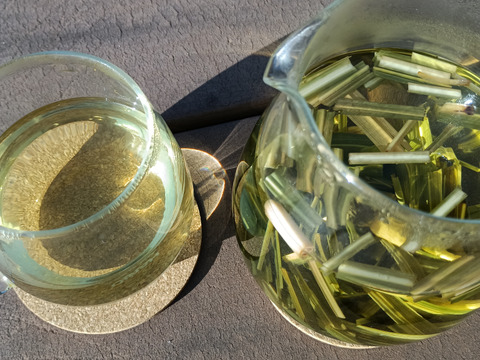 体と心に沁み渡る豊かな香りと味わい！ハーブティーリーフ30g（農薬化学肥料不使用）のっぷいのレモングラス葉と茎