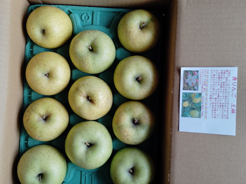 「青りんご王林」話題の「グリーンアップル」を食べよう！！　かわいい小玉サイズ　　2.8キロコース（12個から13個前後入り）まだまだ美味しい美味しさkeep！スマートフレッシュ鮮度保持貯蔵