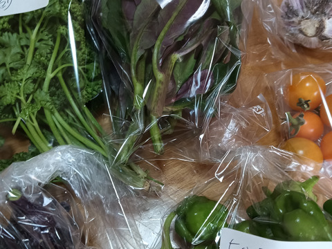 野菜ソムリエ厳選！旬の新鮮野菜ガチャ 
9連