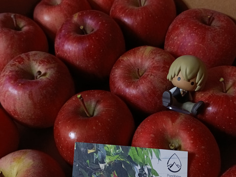 果汁溢れる！ サンふじ【わけあり家庭用 5kg 】