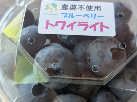 【パリｯ！プリｯ✨】トワイライト
400g