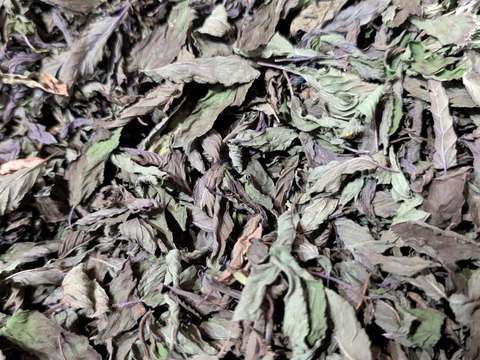 香り豊かなキャンディミント ドライ 10g