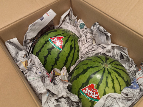 【在庫限りで数日限定延長中】シーズン最終ポッキリセール！【スイカ2玉約6kg(5.5kg以上)】夏を思いっきり楽しむ!旨みとシャリ感抜群!【品種：ぷちっと】【1～8日以内に発送】