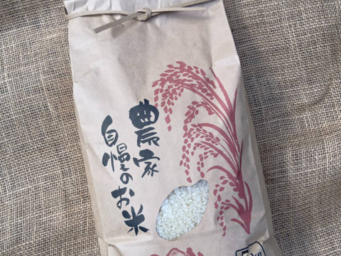 最新デザインの 令和6年産新米！淡路島「キヌヒカリ」（5kg）：兵庫県産の 米・雑穀・粉類
