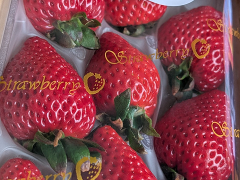 プレミアムいちご 『あまりん』8粒、9粒、11粒、15粒 のいずれか 250g×2パック入り