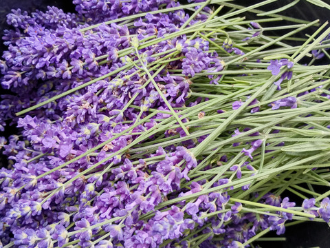 リニューアル！【ハーブティーがお好きな方に！リセット&リカバリー！】体と心に沁み渡る豊かな香りと味わい！ブレンドハーブティーバッグ3包（植物由来ティーバッグ使用、農薬化学肥料不使用）ノンカフェイン