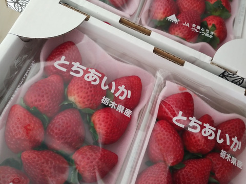 とちあいか』フレーズのこだわりいちご260g×4パック：栃木県産の