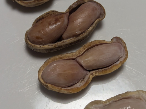 【今が旬♫】落花生　“おおまさり” 1500g from 名水の里　秦野