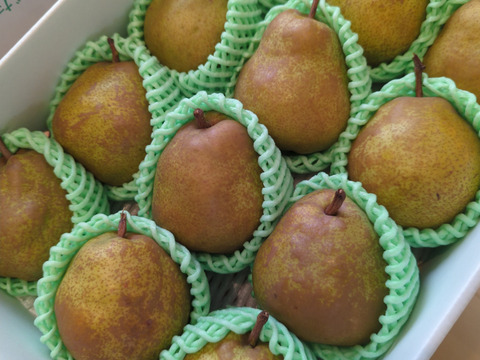 特選品 3kg ラ・フランス 10~15玉入り　こだわり栽培　ギフトご贈答にも　山形県産西洋梨ラフランス