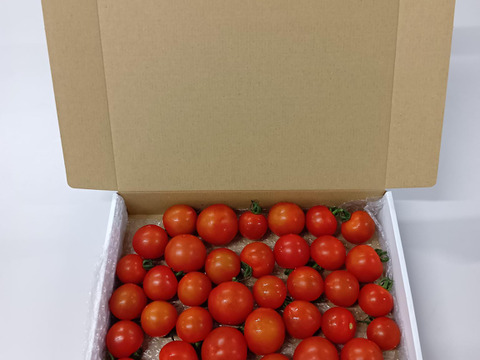 夏の霧のトマト　1.5㎏バラ売り