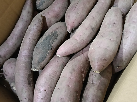 【訳あり品】⭐︎5kg⭐︎熟成！蜜たっぷり紅はるか♪さつまいも⭐︎限定セール中！