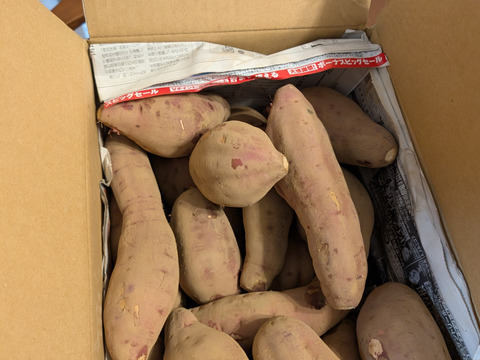 糖度60度越え極甘❣️さつまいも　千葉県香取市産
ねっとり系代表【紅はるか】9.8kg M〜2L