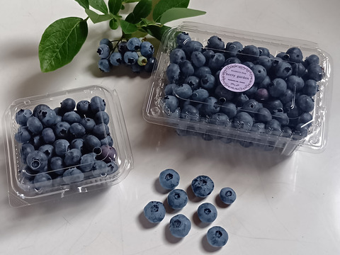 《予約受付中》【農薬不使用】　冷凍　完熟MIX・ブルーベリー2kg　500g  box入り