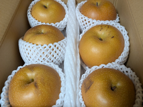 【ご家庭用】あきづき～抜群のシャキシャキ感と濃厚な甘さ～3.3㎏