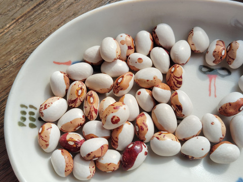 【北海道十勝産】虎豆（1.0kg／レターパックライトで発送）