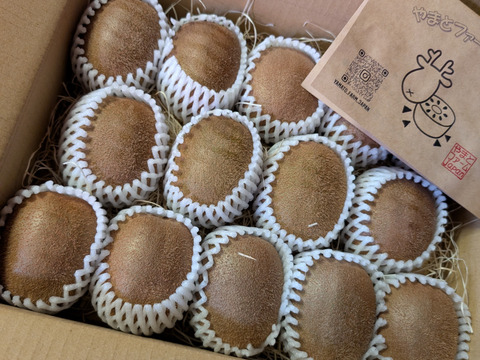 ※追熟済※寒い冬にキウイでビタミンたっぷり！奈良県室生産のこだわりプレミアムキウイフルーツＬサイズ