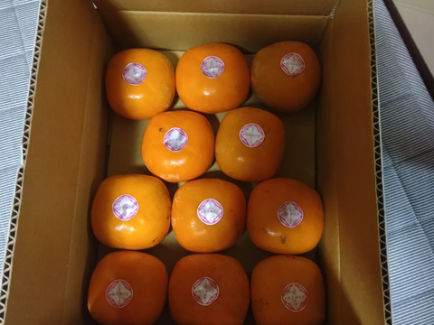 【ご予約】家庭用 糖度に自信！刀根早生柿誕生の地より直送 たねなし柿  SDG.s 2L～L　12玉入りです。たくさんの方に味わっていただきたくて企画しました。