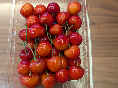 ◇1kg★名和果樹園の贈答用特秀紅秀峰大粒2L【常温便】山形県東根市産ギフトさくらんぼ【佐藤錦よりも甘い紅秀峰】★産地直送お取り寄せ通販★予約商品