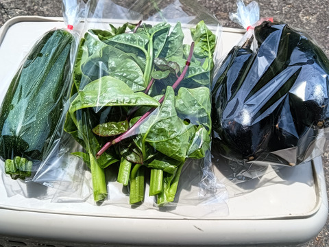 リューネファームの野菜お試しセット