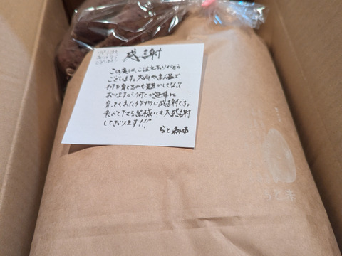 【令和7年度産】【玄米5kg/農薬不使用】 クセのない甘味と旨さ！熊本県菊池市産くまさんの輝き