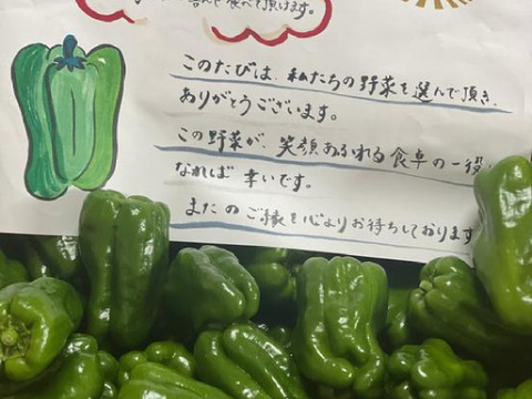 「特別栽培品」【リピーター続出！】　朝採れ発送！　兵庫県香美町産「たじまのピーマン２ｋｇ」
【敬老の日】