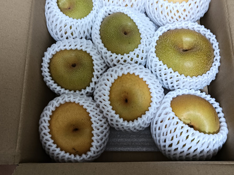 【農薬節減】もぎたて!! 梨 訳あり「幸水」3kg(6〜8玉) ご自宅用に!!