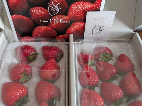 ※今シーズン即完売・来年度予約分※【いちごグランプリ2026最高金賞】完熟あまりん！数量限定！順次発送！！