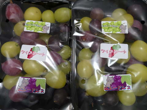 まるせい果樹園のぶどう3色MIX　パック詰め　　380ｇ×2ｐ　自家用　家庭用　ぶどうの実のみ ob5