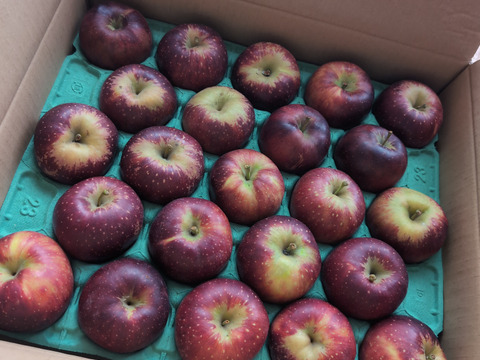 残り9ケース🍎【色も濃い味も濃い】秋映 5キロ箱 訳あり品 商品ID33051 長野県 信州 安曇野 リンゴ 幻 幻のリンゴ 予約 希少 旬