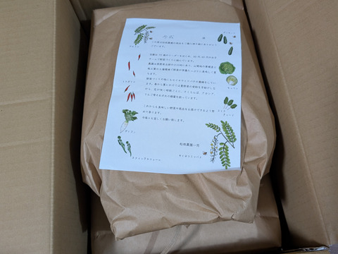 令和７年新米　長野県産「コシヒカリ」10Kg