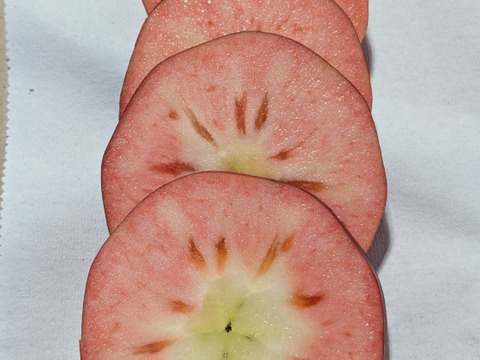 赤肉りんご 炎舞 （B品2㎏）