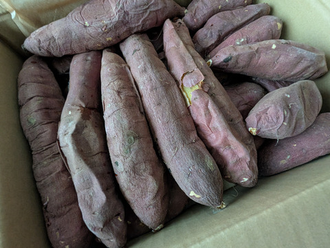 【クール冷凍便発送　焼き芋】紅はるか　2kg＋α