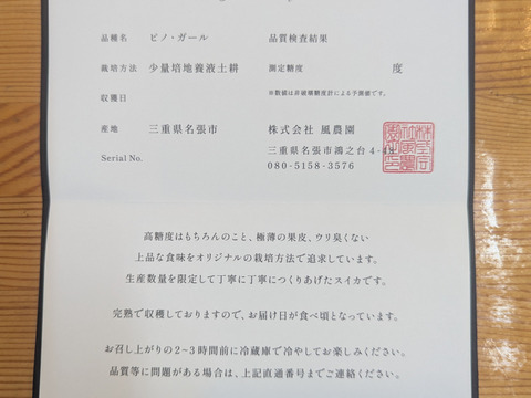 【ギフト最適】空中栽培の高糖度スイカ２玉(1.8kg/玉 以上)