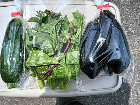 野菜ソムリエ厳選！旬の新鮮野菜ガチャ 
9連