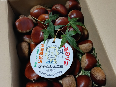 茨城県産　笠間の栗　　たつにぃ 冷凍 茨城県産 和栗 ペースト 1kg 栗 笠間の栗 加糖 業務用 笠間