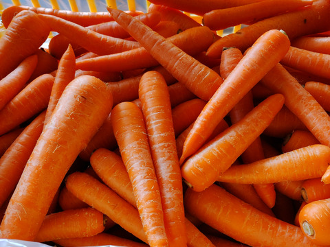 人参 訳あり 3kg