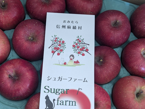 長野県認証栽培のサンふじ5ｋｇ