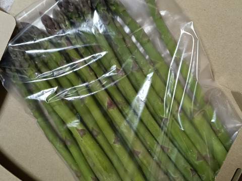 鮮度抜群！グリーンアスパラガス500g
