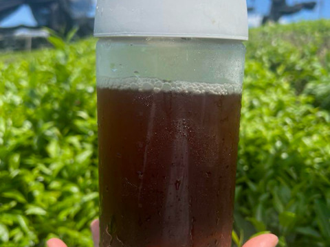 2025年新茶【苦くない日本の紅茶♪】紅茶が苦手な方でも大丈夫！渋味が少なく、柔らかい風味の紅茶♪ 和紅茶　茶葉　120g 農薬・化学肥料・除草剤・畜産堆肥不使用　宇治茶100%