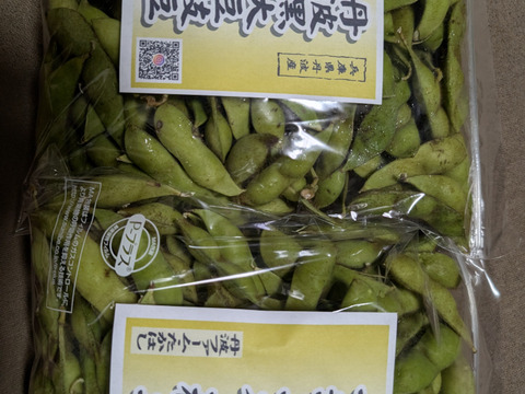 丹波黒大豆枝豆】兵庫県丹波産 さや1㎏(500g×2) 収穫後順次発送◎鮮度