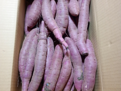 【自宅用】 里山ファームの紅はるか Sサイズ（100g〜200g） ５ｋｇ