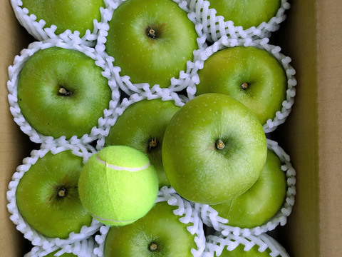 調理も簡単・クッキングアップル！！ブラムリー約3ｋｇ