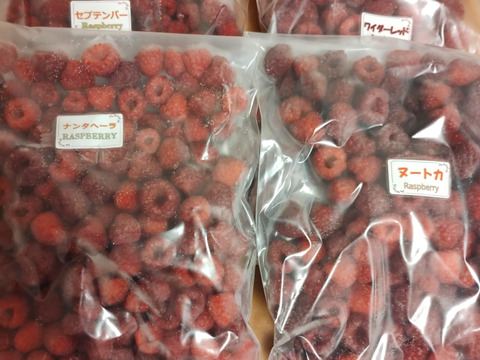 ２品種食べ比べ！北海道十勝産の冷凍ラズベリー（お勧め品種500gずつ2品種）［計1kg］