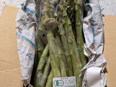 【数量限定】鮮度抜群！オーガニック（ボールペン）
アスパラガス1.2キロ　Ｓ級(10g以下）販売中