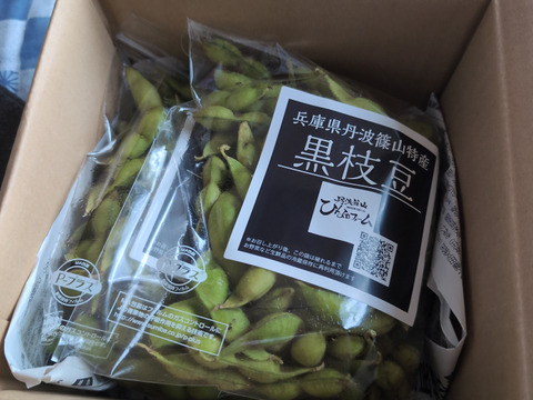 【収穫日発送】丹波篠山産 黒枝豆『コク旨黒枝豆』1kg