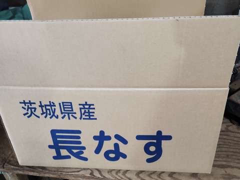 茨城産長ナス　業務用9キロ　産直直送