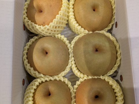 本日最終!【農薬節減】もぎたて!! 梨 訳あり 豊水 3kg(6〜8玉) ご自宅用に!! 【発送9月中下旬〜】